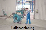 Hallensanierung